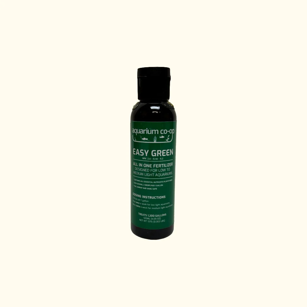 Broken Seal Easy Green - Image 6