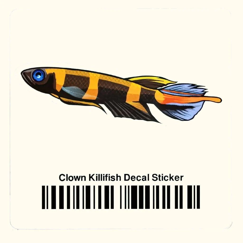 Clown Killifish Decal Sticker