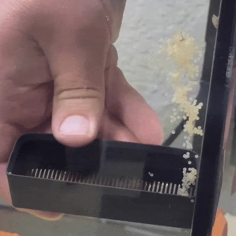 Corydoras Egg Collector - Image 2