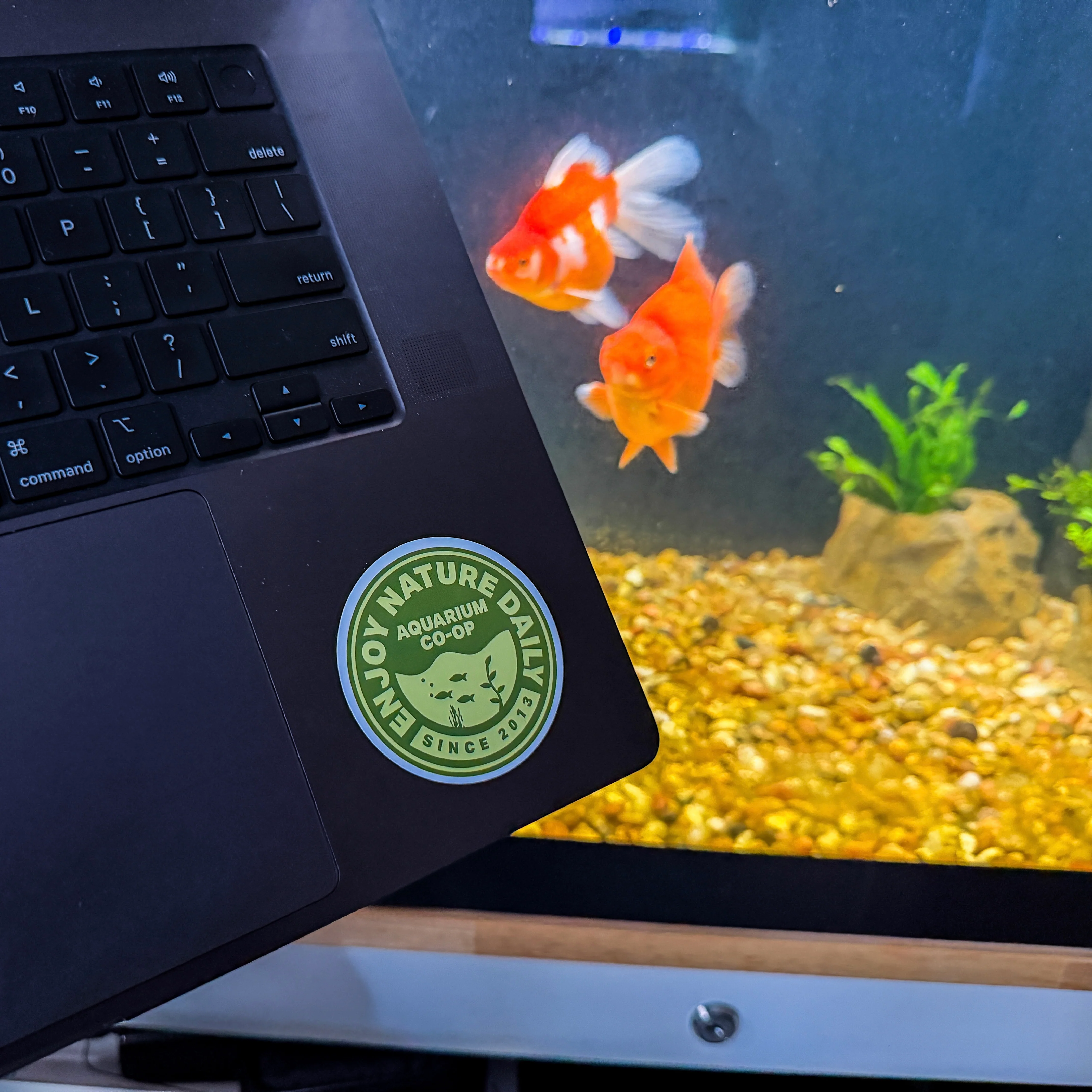 Enjoy Nature Daily Badge Sticker Decal - Image 2
