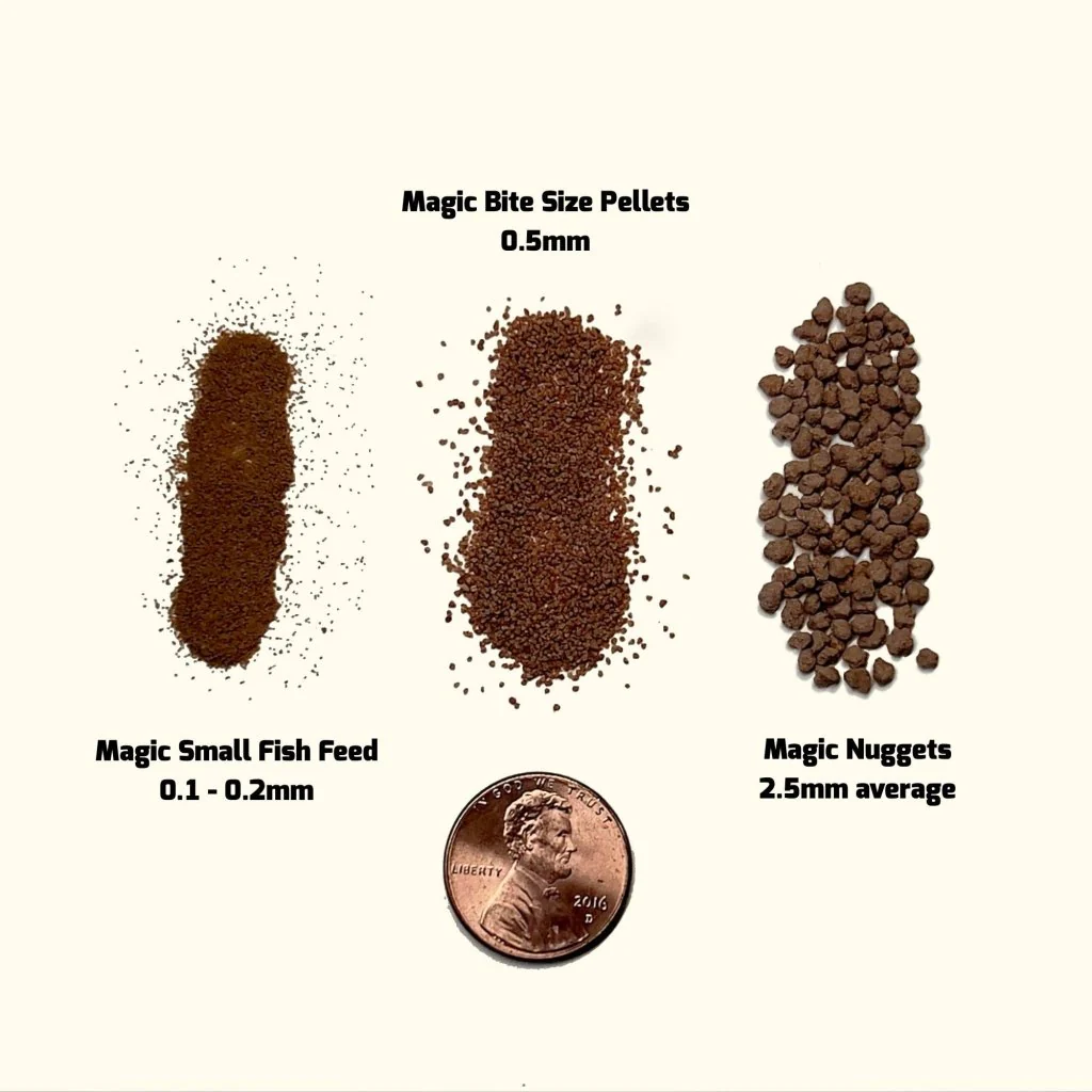 Magic Nuggets - Image 5